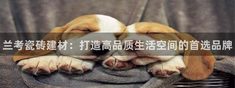 杏鑫平台列7O777