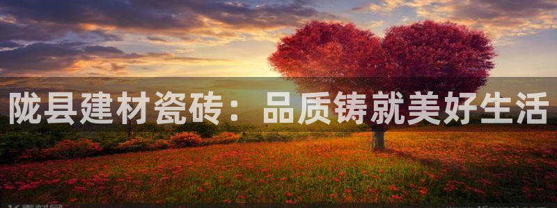 杏鑫官方平台怎么样