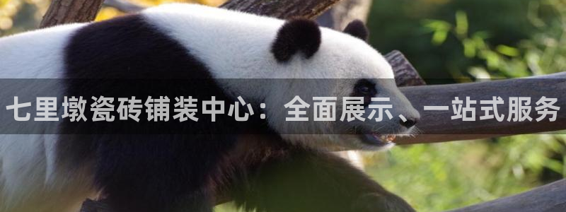 杏鑫官网注册账号密码是多少