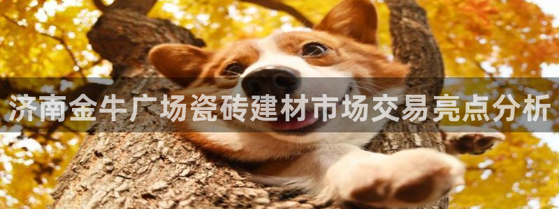 杏鑫娱乐是真的吗