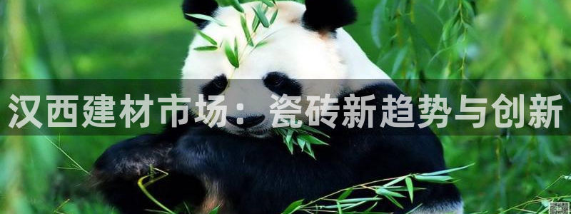 杏鑫平台广7O777